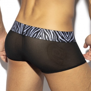 Boxer Push Up ZEBRA Noir