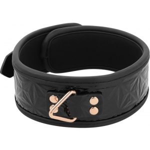 Collier et Laisse BEGME Noir