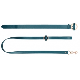 Collier et Laisse HALO COL Bleu 2