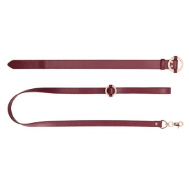 Collier et Laisse HALO COL Rouge 2