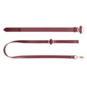 Collier et Laisse HALO COL Rouge