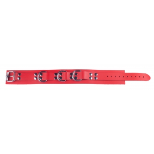 Collier en cuir ULTRA Rouge