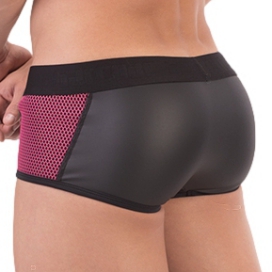 Boxer Fetish PETTAR Rose 2