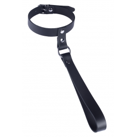 Collier en cuir avec laisse courte 2
