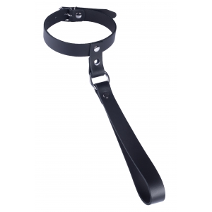 Collier en cuir avec laisse courte