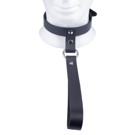 Collier en cuir avec laisse courte