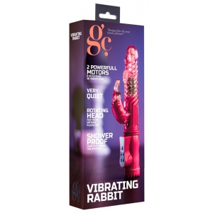 Vibro Rabbit rotatif VIBE COIN 23cm Rose