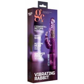 Vibro Rabbit rotatif VIBE COIN 23cm Violet 2