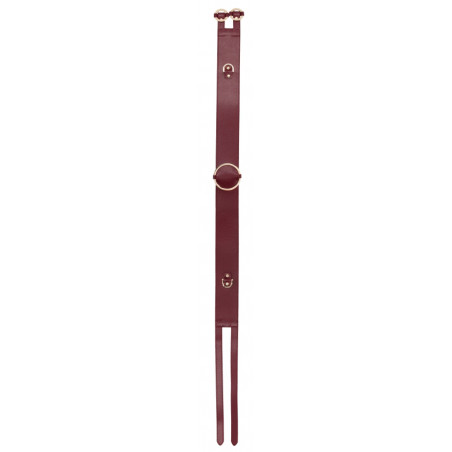 Ceinture RESTRAINT BELT Rouge