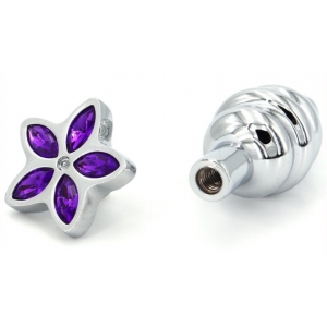 Plug Bijou STAR 6.5 x 2.8cm Violet