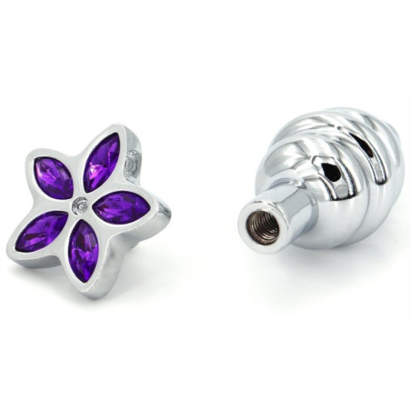 Plug Bijou STAR 6.5 x 2.8cm Violet