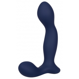 Stimulateur de prostate EXPERT PROBE Viceroy 10 x 2.5cm