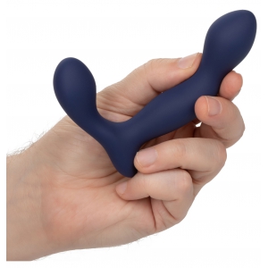 Stimulateur de prostate EXPERT PROBE Viceroy 10 x 2.5cm