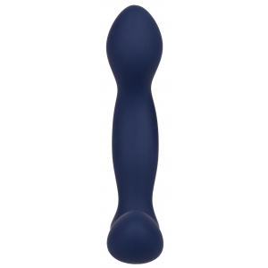 Stimulateur de prostate EXPERT PROBE Viceroy 10 x 2.5cm