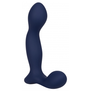 Stimulateur de prostate EXPERT PROBE Viceroy 10 x 2.5cm