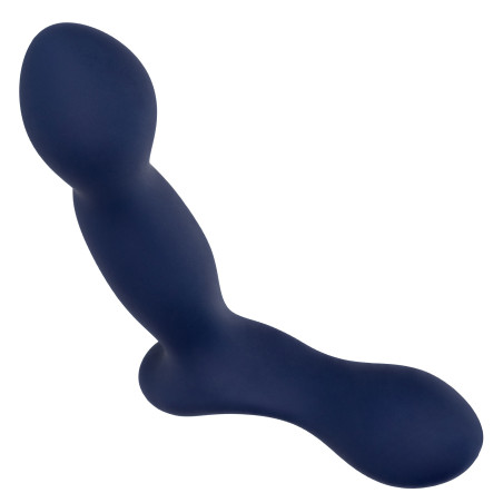 Stimulateur de prostate EXPERT PROBE Viceroy 10 x 2.5cm