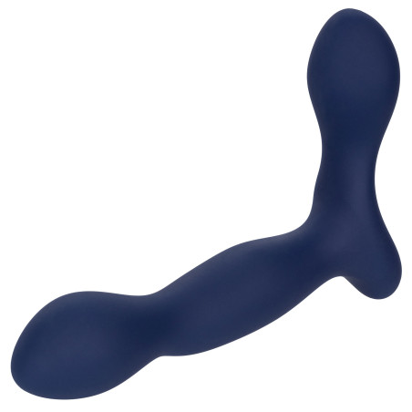 Stimulateur de prostate EXPERT PROBE Viceroy 10 x 2.5cm