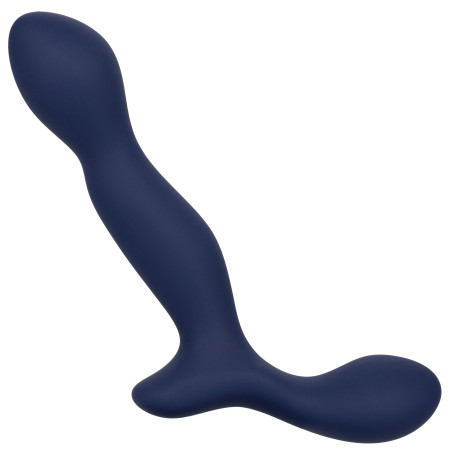 Stimulateur de prostate EXPERT PROBE Viceroy 10 x 2.5cm