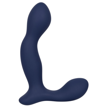 Stimulateur de prostate EXPERT PROBE Viceroy 10 x 2.5cm