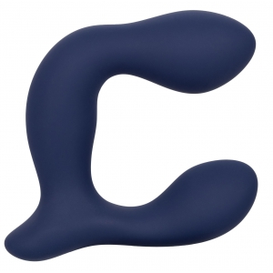 Stimulateur de prostate EXPERT PROBE Viceroy 10 x 2.5cm