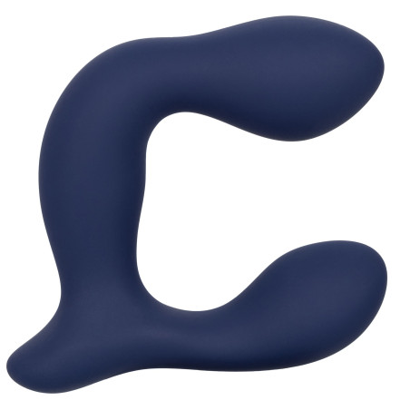 Stimulateur de prostate EXPERT PROBE Viceroy 10 x 2.5cm