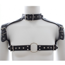 Harnais et Collier OPTOR Noir