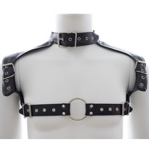 Harnais et Collier OPTOR Noir