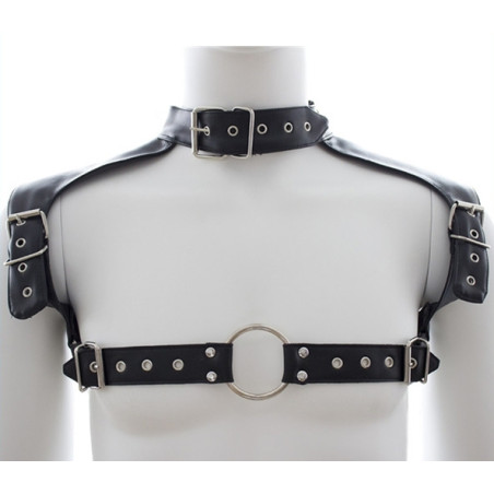 Harnais et Collier OPTOR Noir