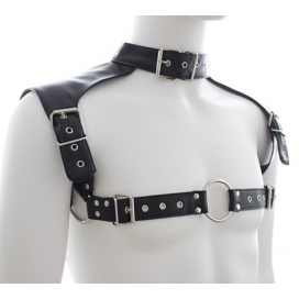 Harnais et Collier OPTOR Noir 2