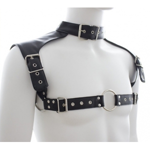 Harnais et Collier OPTOR Noir