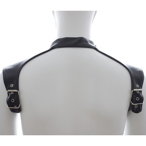 Harnais et Collier OPTOR Noir