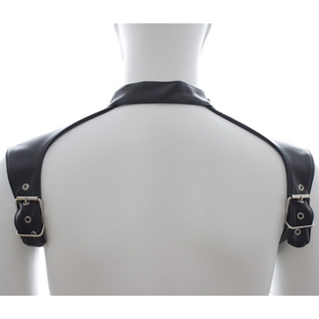 Harnais et Collier OPTOR Noir