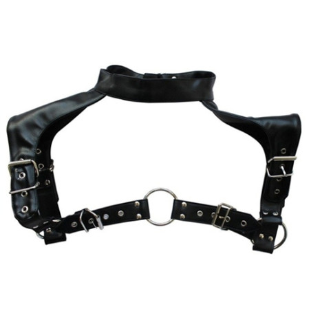 Harnais et Collier OPTOR Noir