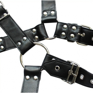 Harnais et Collier OPTOR Noir