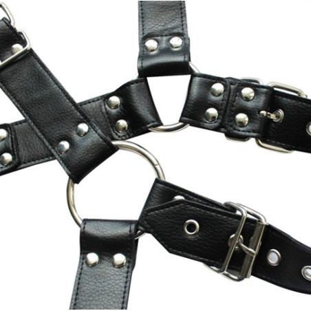 Harnais et Collier OPTOR Noir