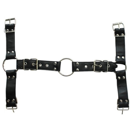 Harnais et Collier OPTOR Noir
