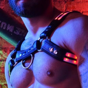 Harnais lumineux RAVE BULLDOG Breedwell