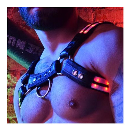 Harnais lumineux RAVE BULLDOG Breedwell