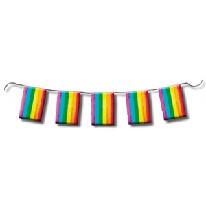 Guirlande à fanions Rainbow 10m
