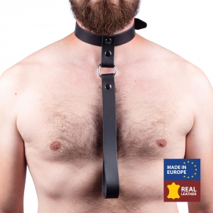 Collier en cuir avec laisse courte