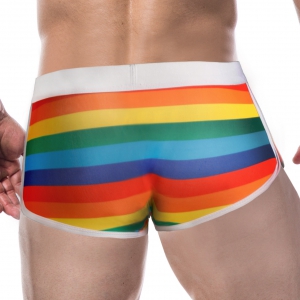 Boxer ATHLETIC Rainbow