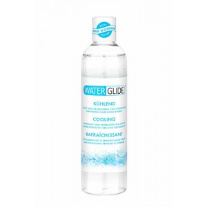 Lubrifiant Eau Waterglide de 300mL avec Effet Cool Menthe