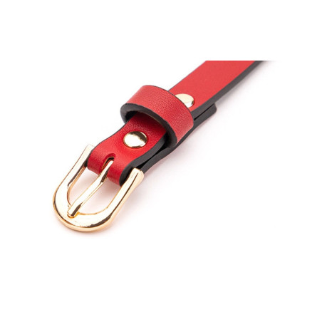 Bâillon Boule LINY THIN Noir-Rouge