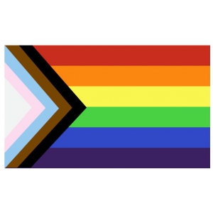 Drapeau LGBT+ 60 x 90cm
