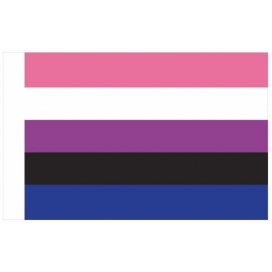 Drapeau GENDERFLUID 60 x 90cm