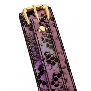 Collier-Laisse SNAKINE Noir-Rose