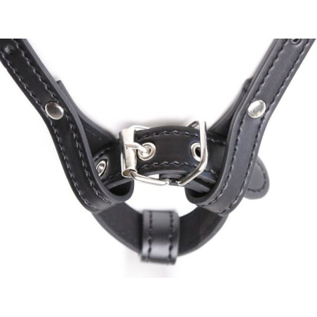 Harnais Ceinture RING HARNESS Noir
