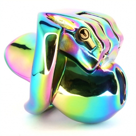 Cage de chasteté RAINBOW de 5.5 x 3.3 cm - En métal 2