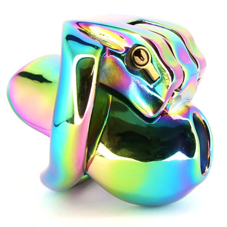 Cage de chasteté RAINBOW de 5.5 x 3.3 cm - En métal