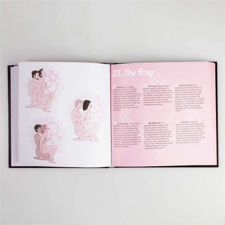 Livre érotique 69 Positions Kamasutra